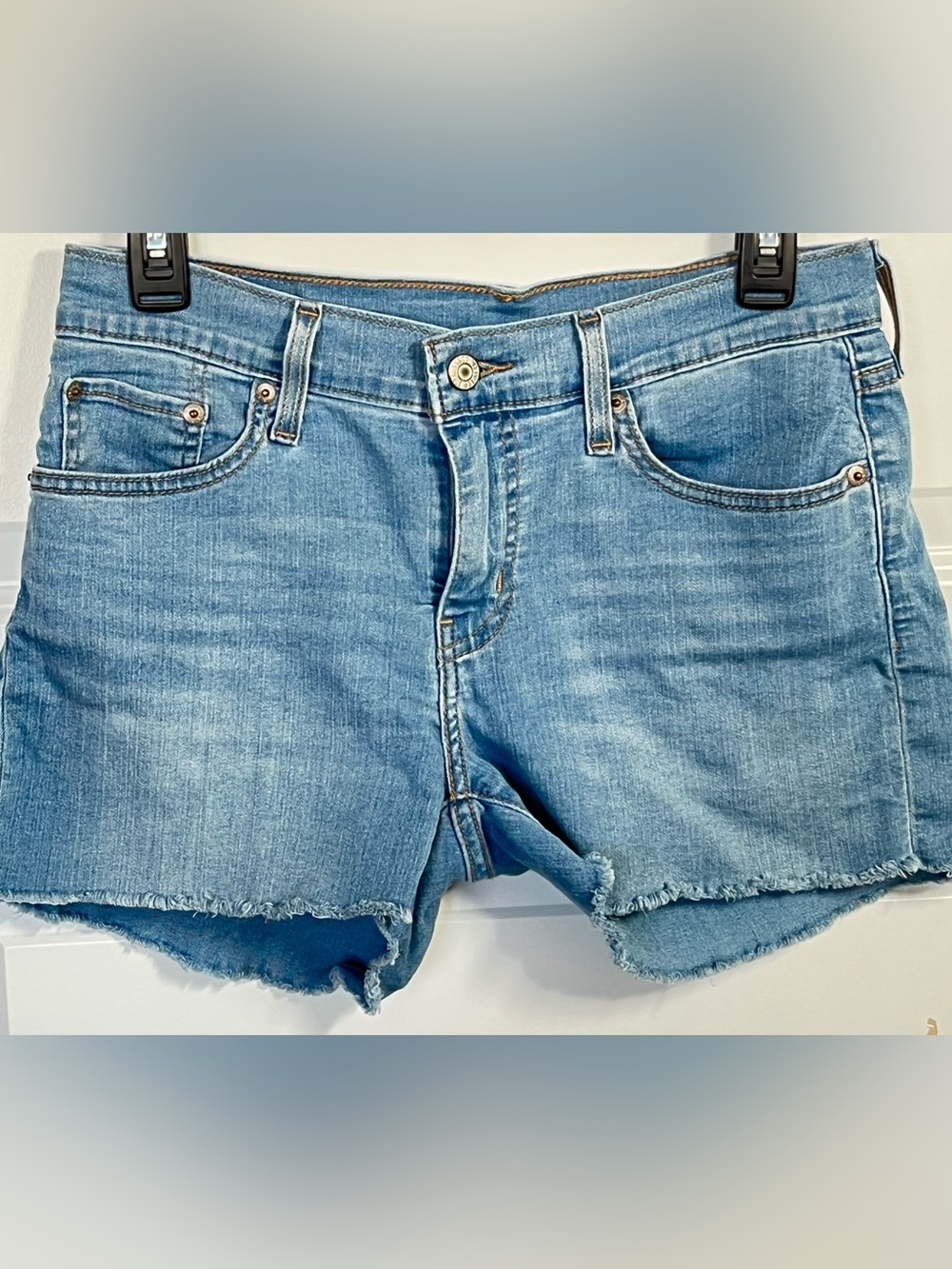 Levi’s Raw Hem Denim Shorts Size 28 Casual Summer Festival Style
